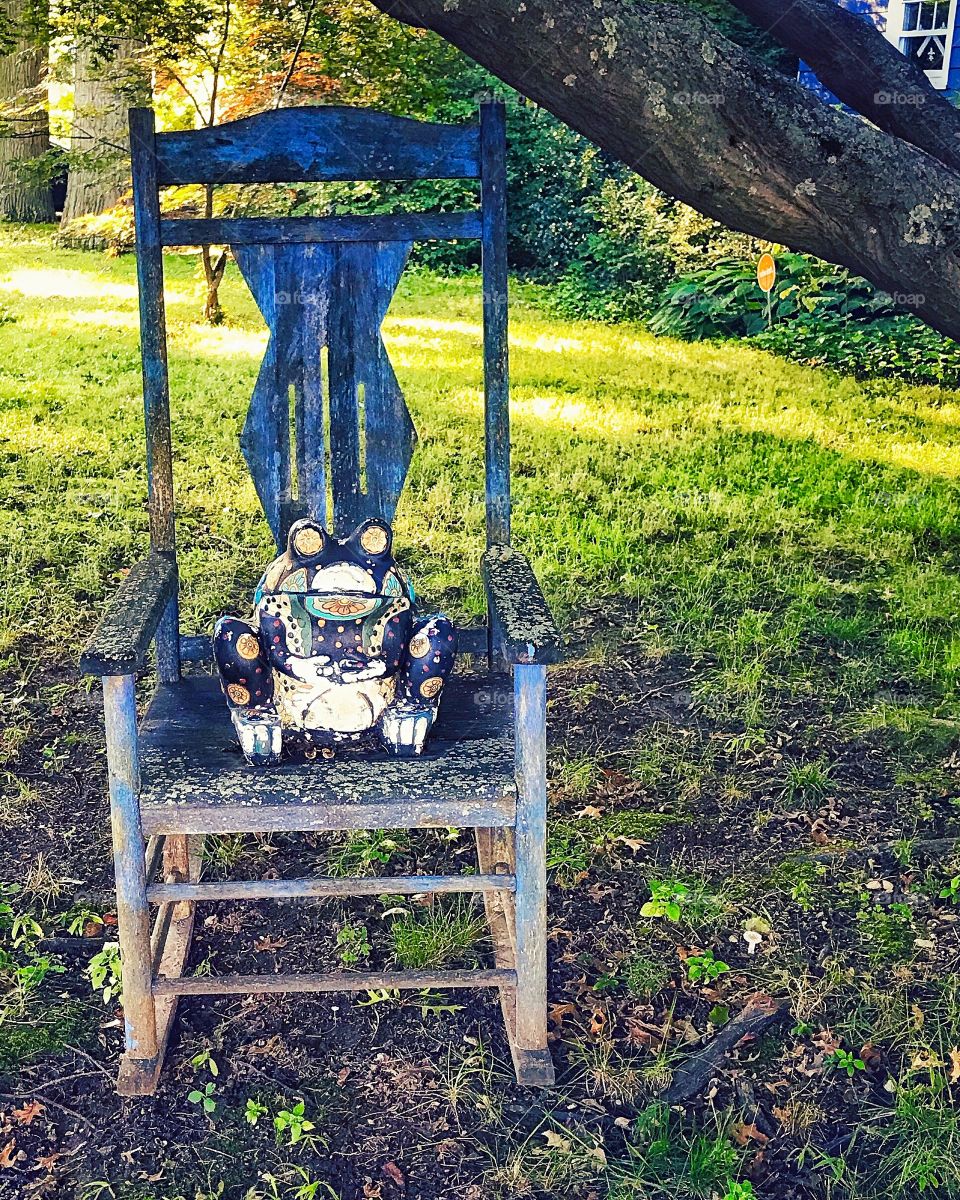 Frog, rocking chair and lichen...