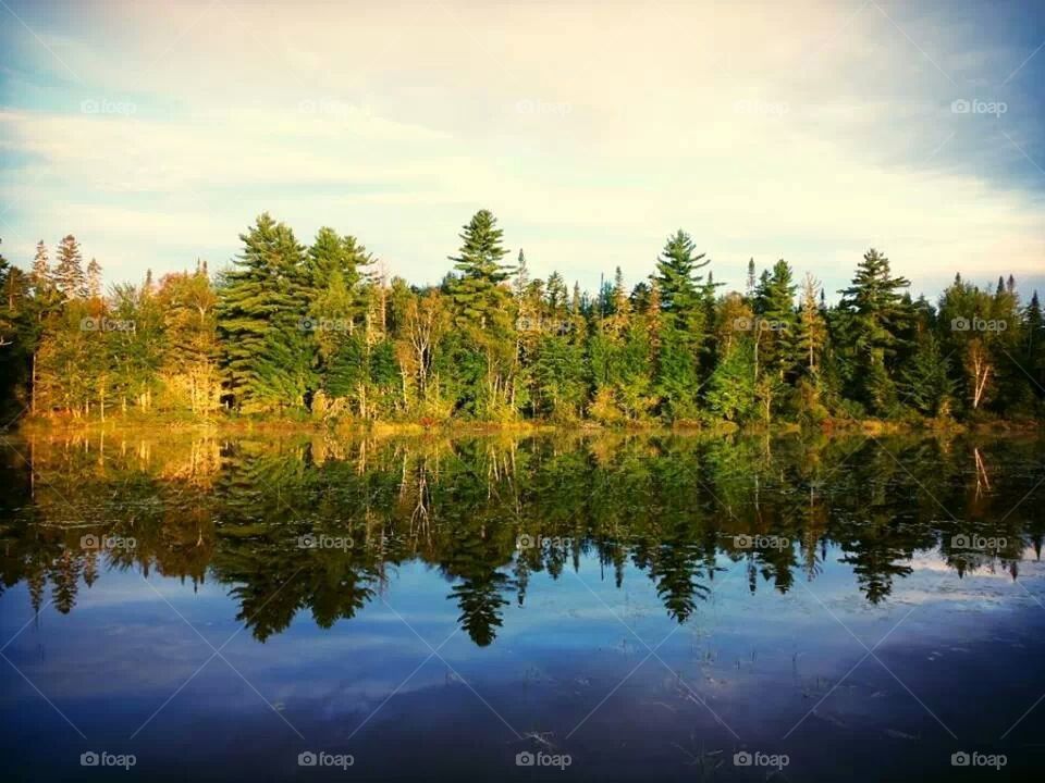 wood water reflection