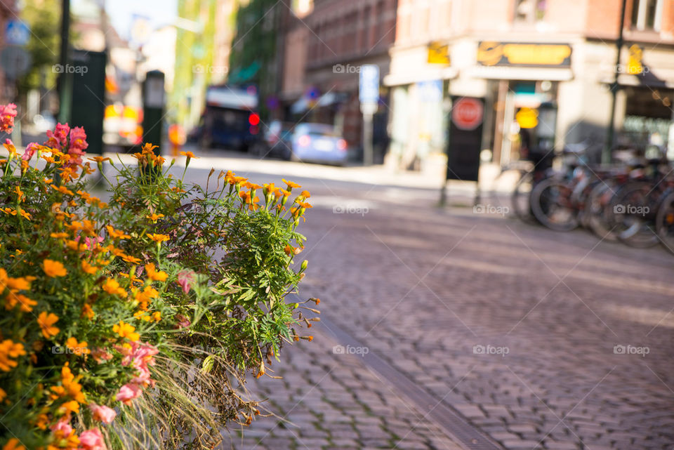 View of a street in Malmo, Sweden