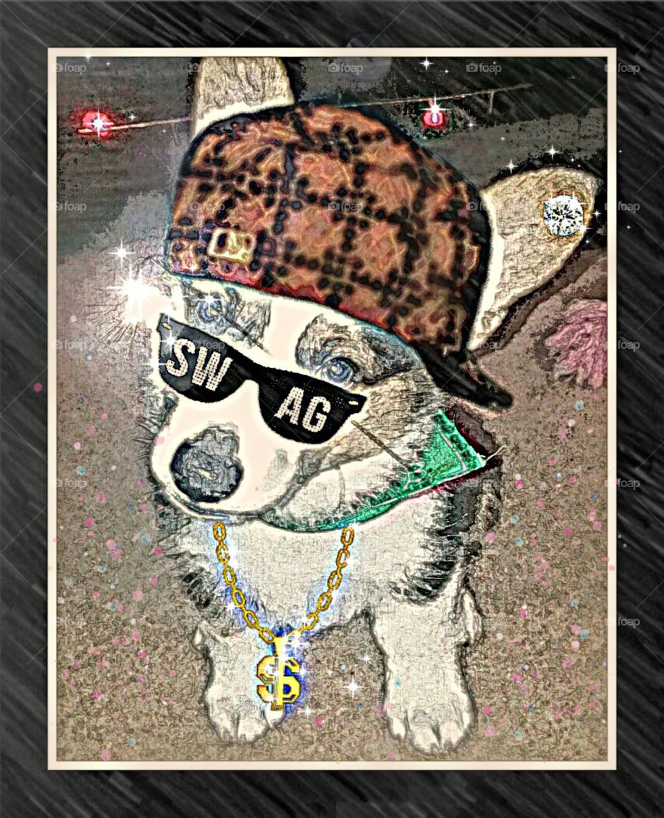 I chase the paper, not my tail.... No one  ever got rich running in circles.