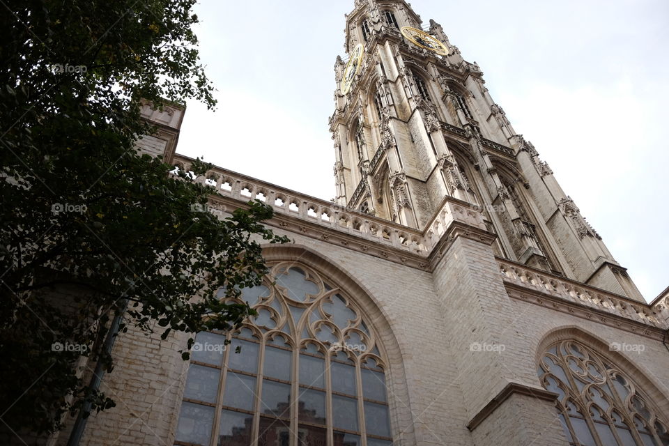 Cathedral in Antwerp