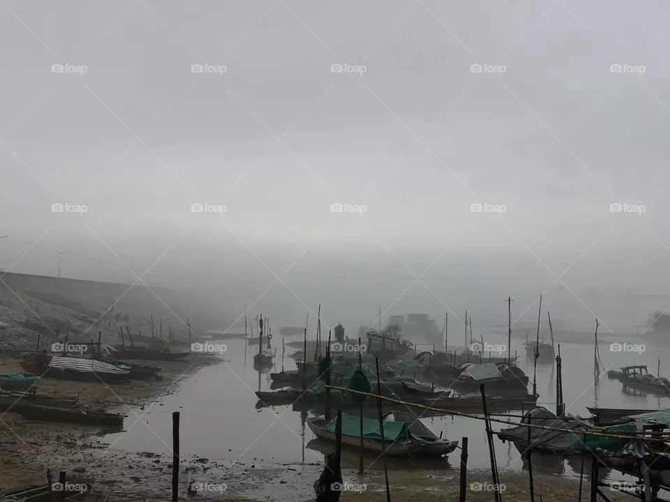 Foggy