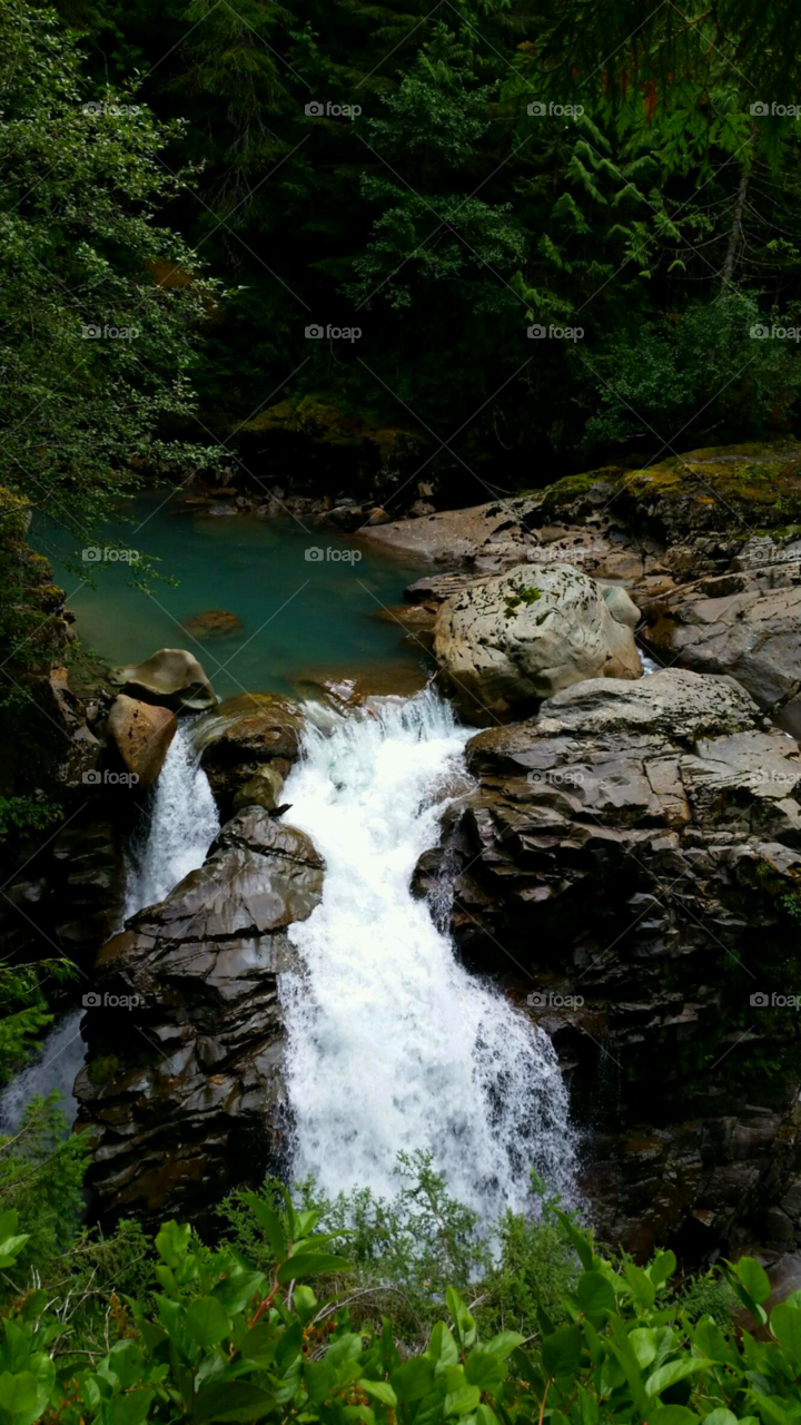 Rapid pool. Nooksack Falls, Washington 
