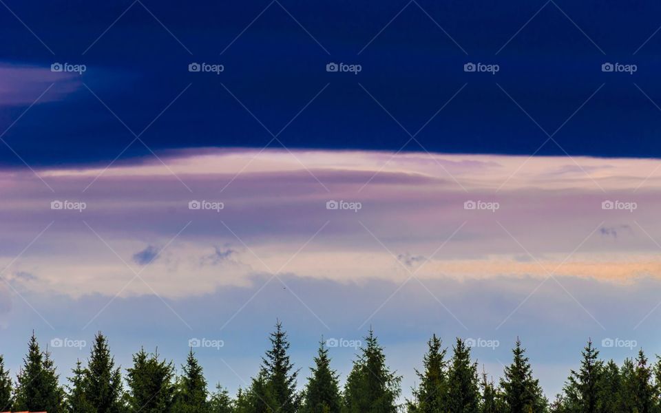 Sunset Above the Pine