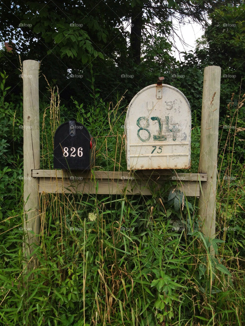 newyork country mailboxes upstate by monish