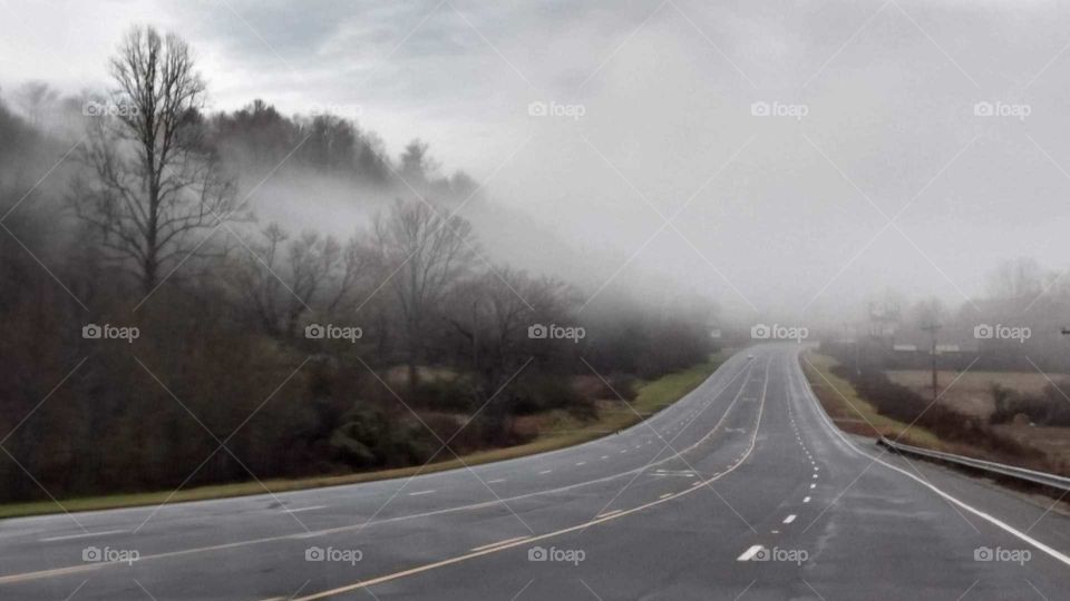 North Carolina mist smokie mountains  road trees