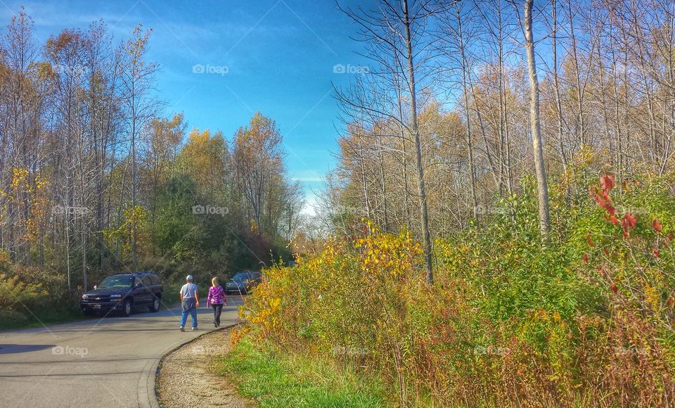 Nature Walk. People Enjoying a Walk in a Nature Preserve