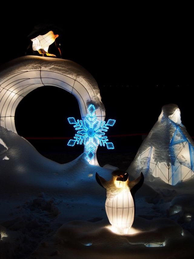 Chinese lights