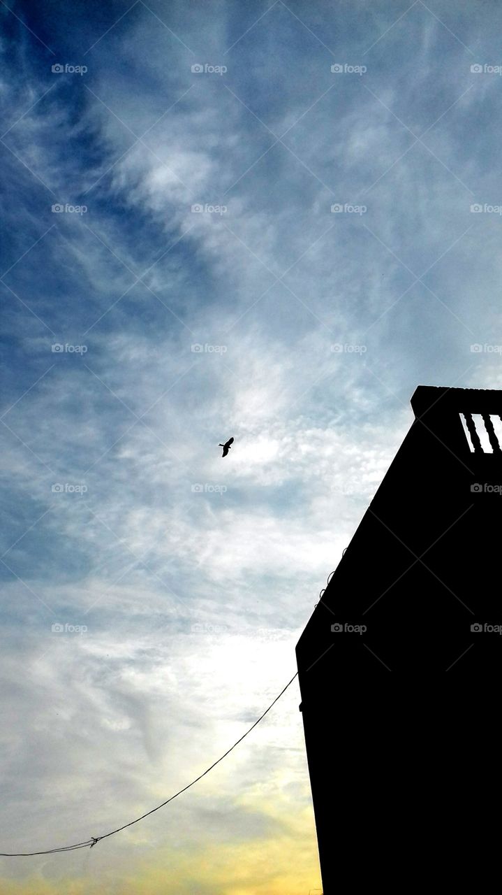 A kite in the sky, perfect weather filled with some clouds and dark side of a building during sunset