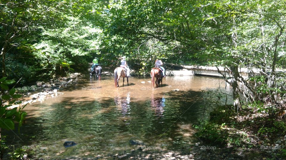 Horseback riding in a stream