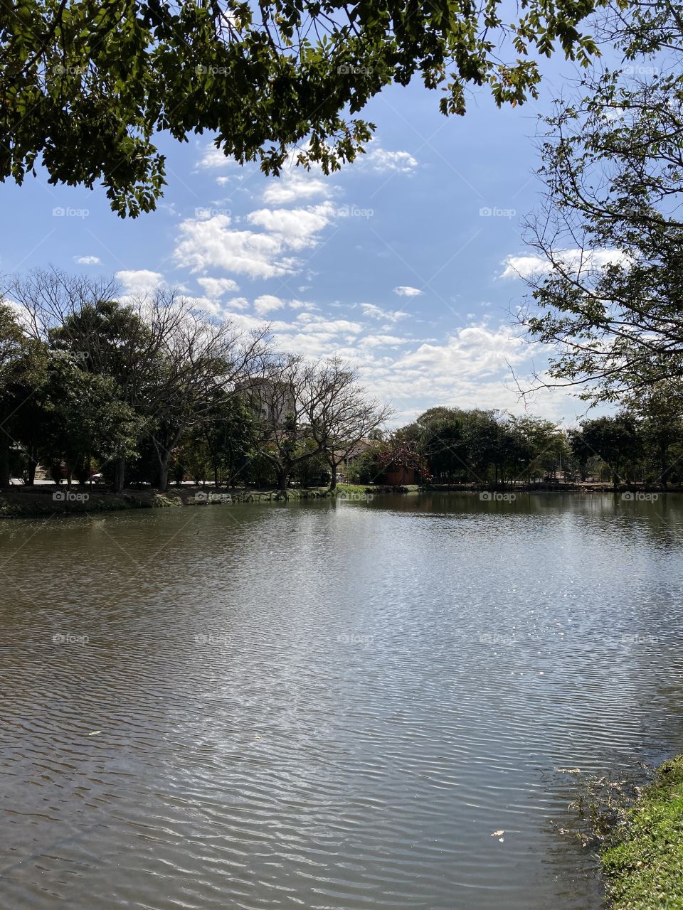 🇺🇸 Walking in Atibaia, in Jardim Paulista.  What a beauty of “Pracinha do Lago”!  Pure tranquility… mental health thanks you. / 🇧🇷 Passeando em Atibaia, no Jardim Paulista. Que beleza de “Pracinha do Lago”! Pura tranquilidade… a saúde mental agradece.