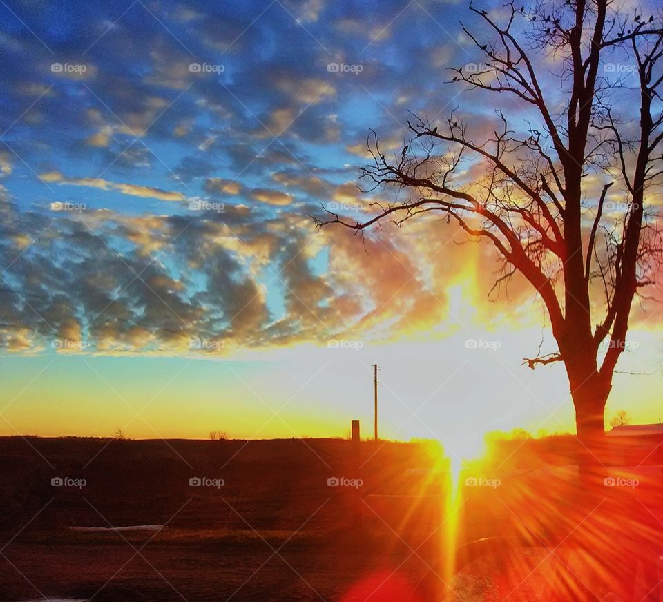 setting sun emitting a burst of sun rays