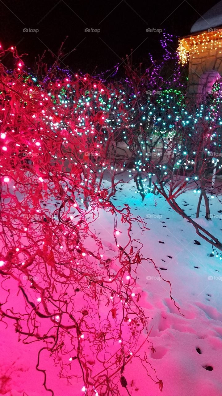 twinkling pink lights in the christmas snow