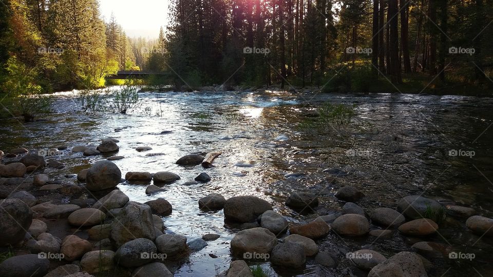 South Fork Merced River, Yosemite National Park