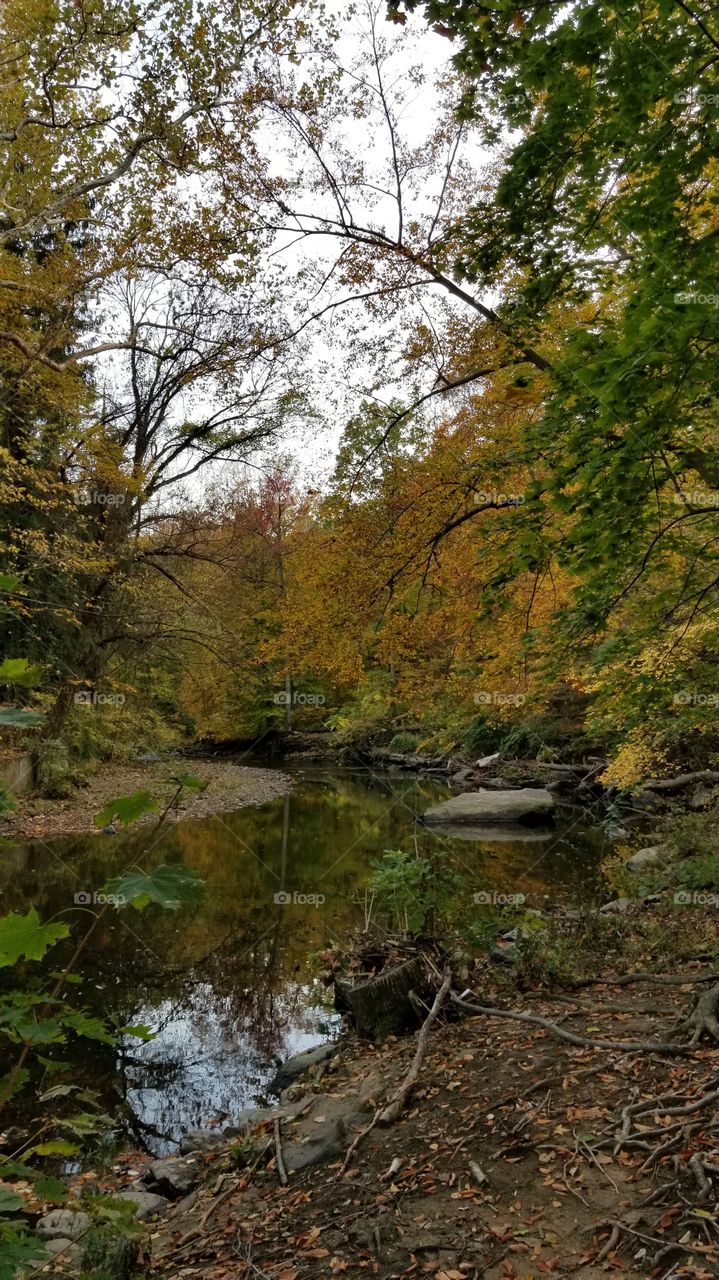 fall stream