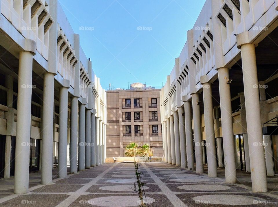 Columns🏛️ Perspective 🏛️ Architecture 🏛️