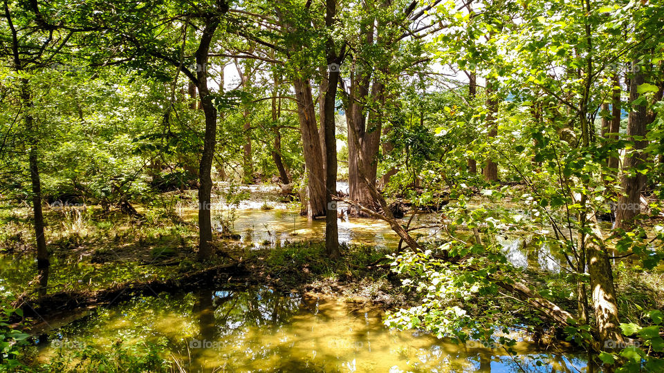 Texas hill country