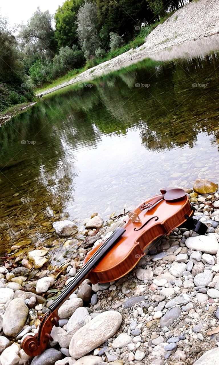 violin and river