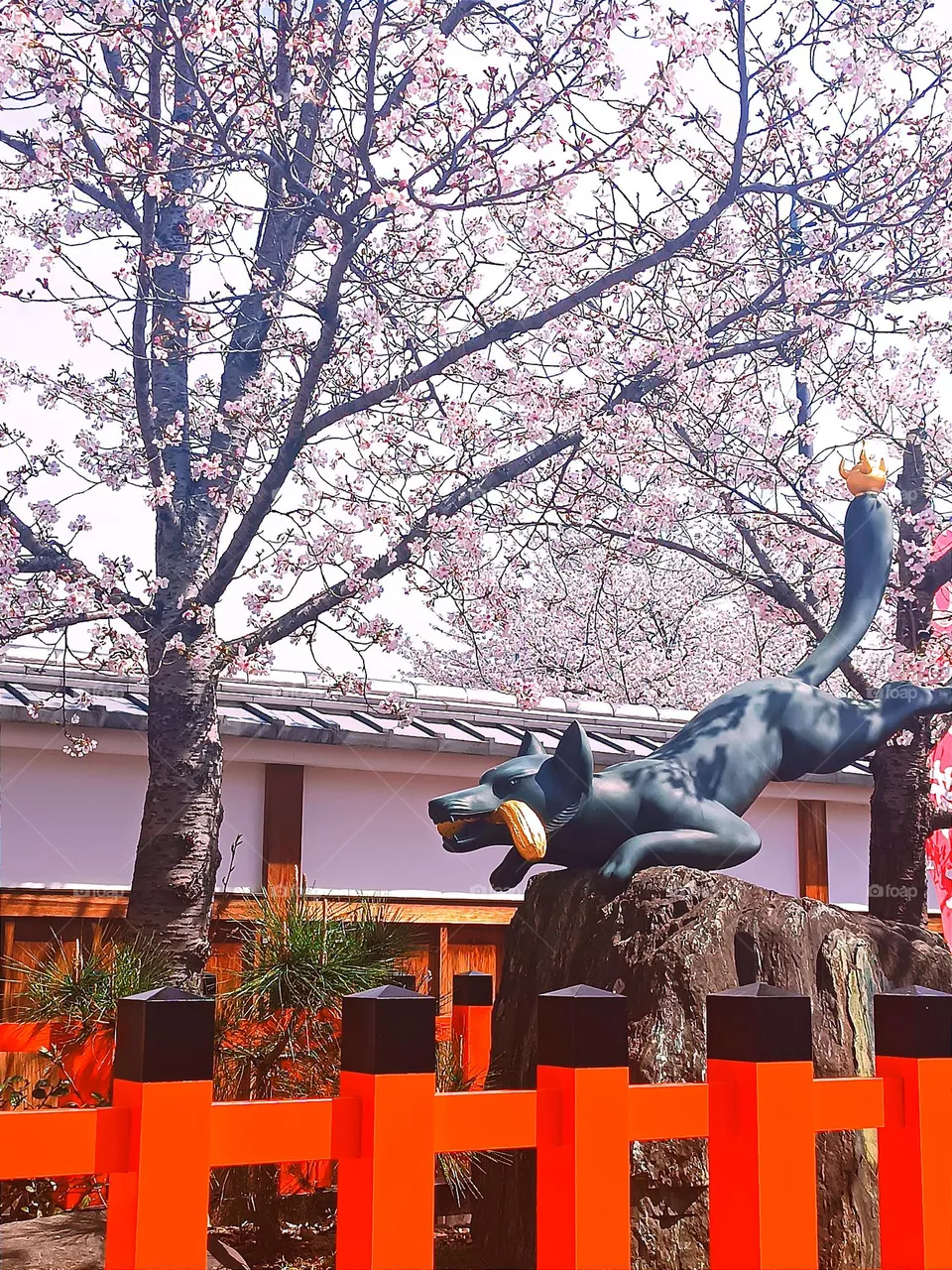 Spring