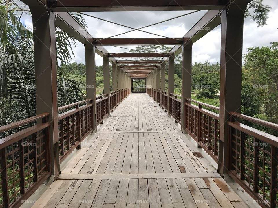 What I called my  ‘Transition Tunnel’.  Located in Ubud, Bali at the Four Seasons Hotel. 