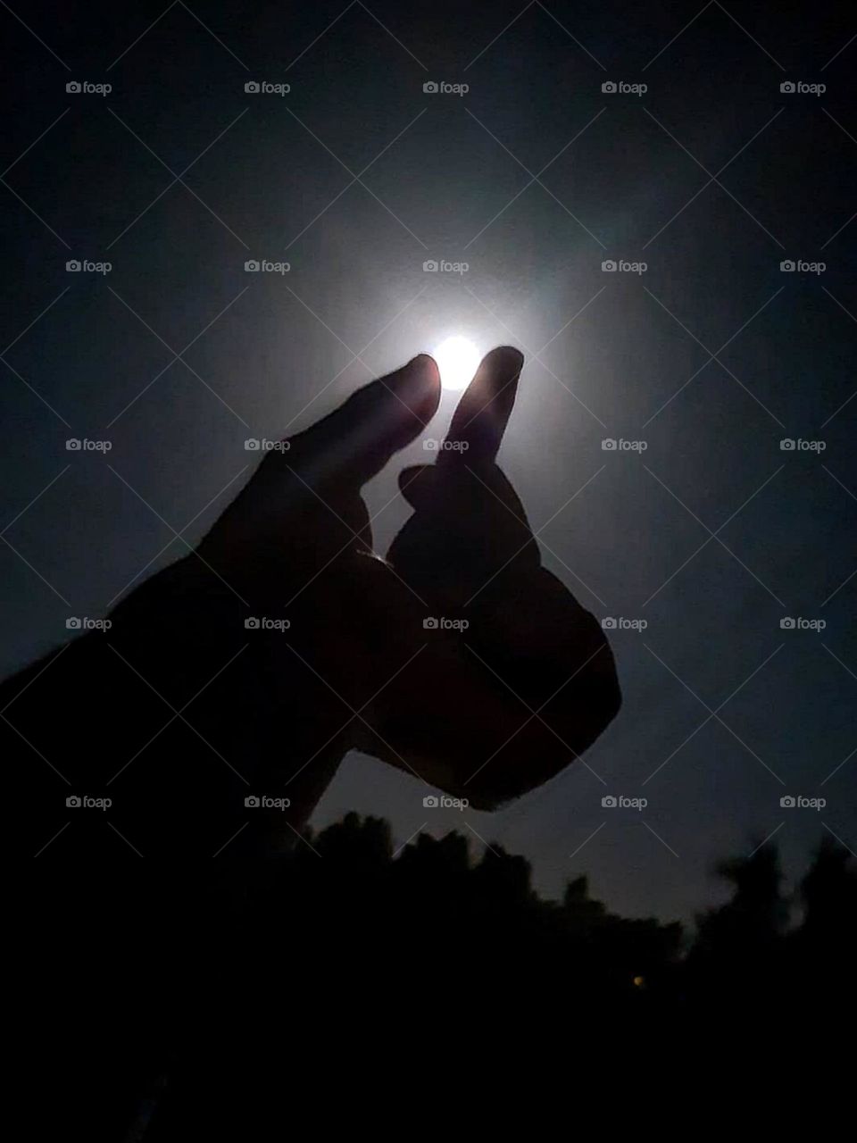 A piece of the moon 🌙