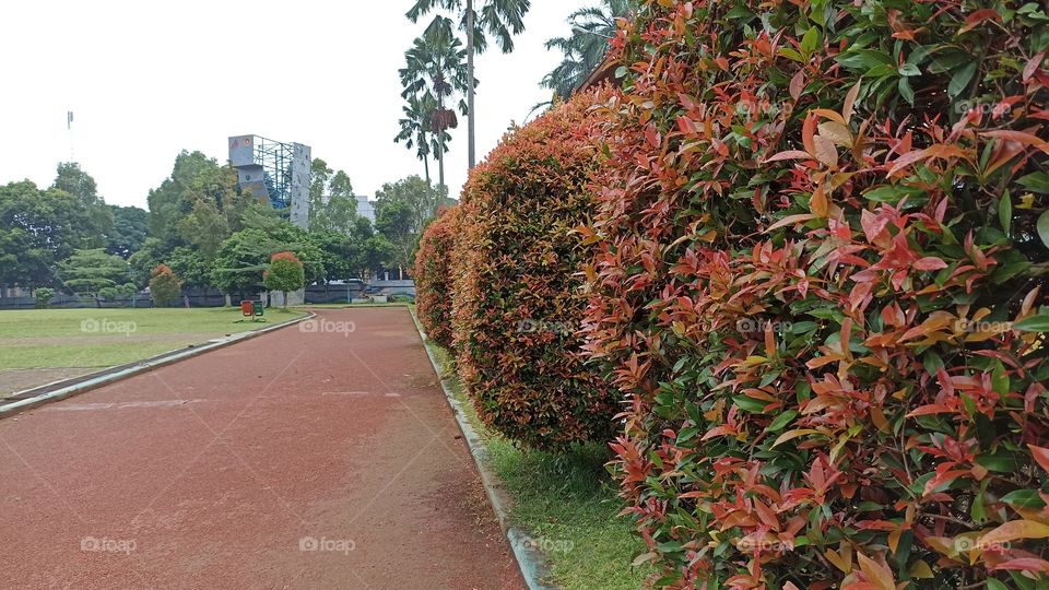 Alun-alun Pandeglang