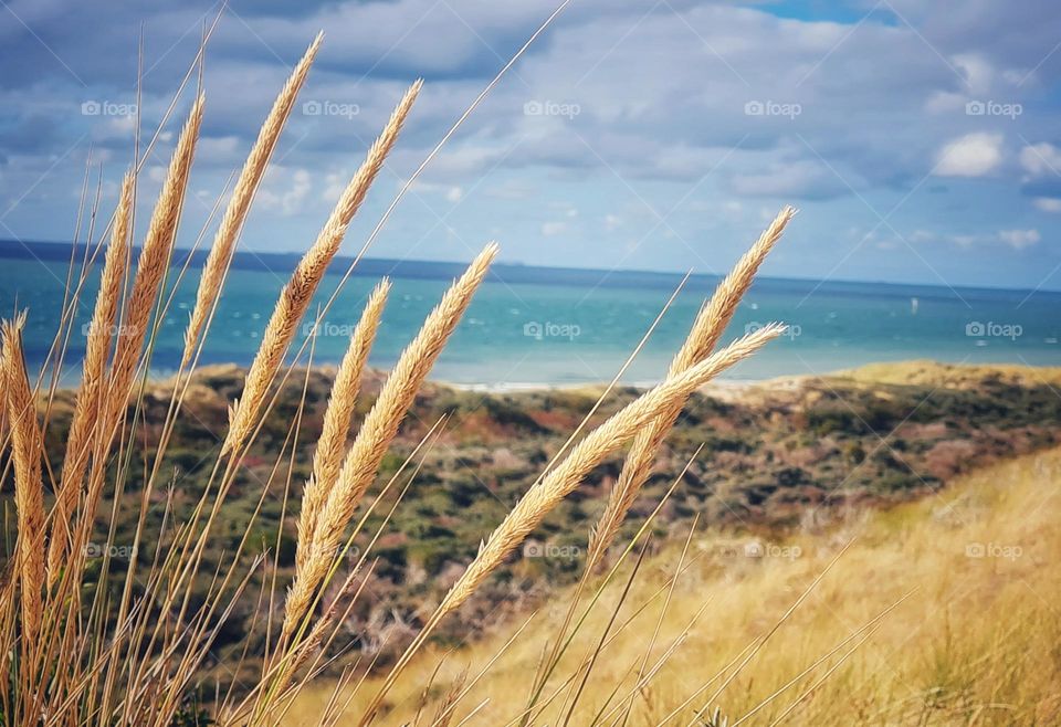 Zeeland, Holland