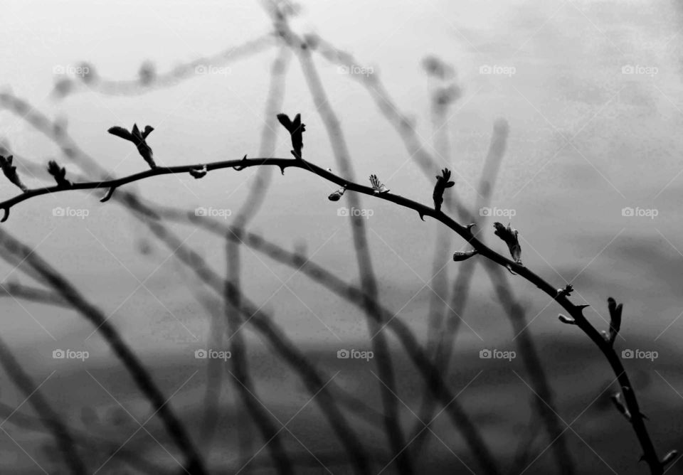 Spring with darkness