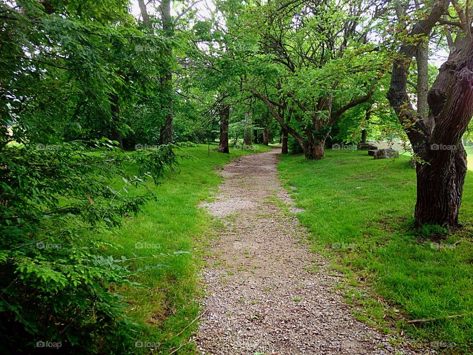 Park walking path. Walking path at Stubbs Park