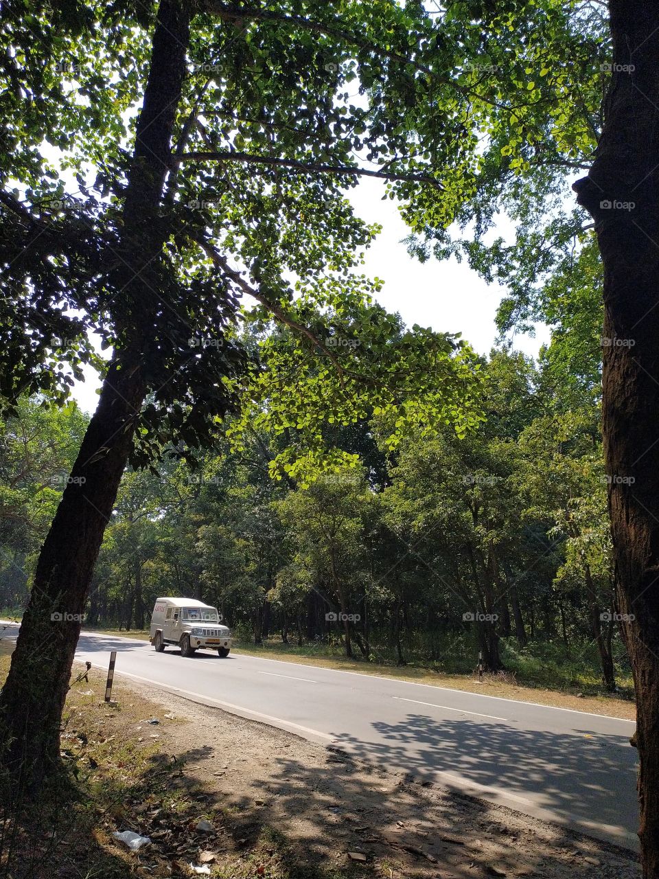 A pleasant trip through the woods, really refreshing specially in these tough times