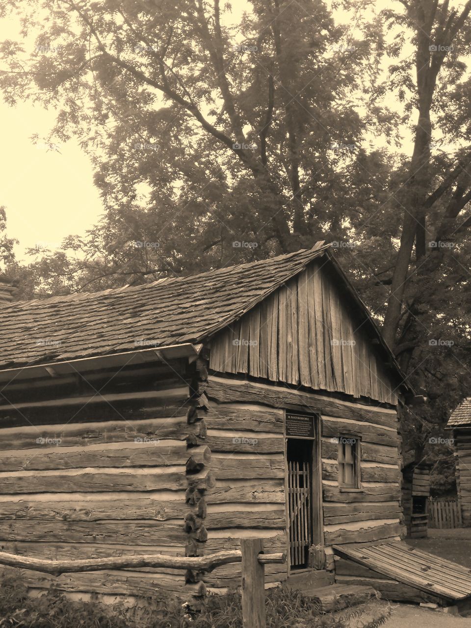 Solitary log cabin