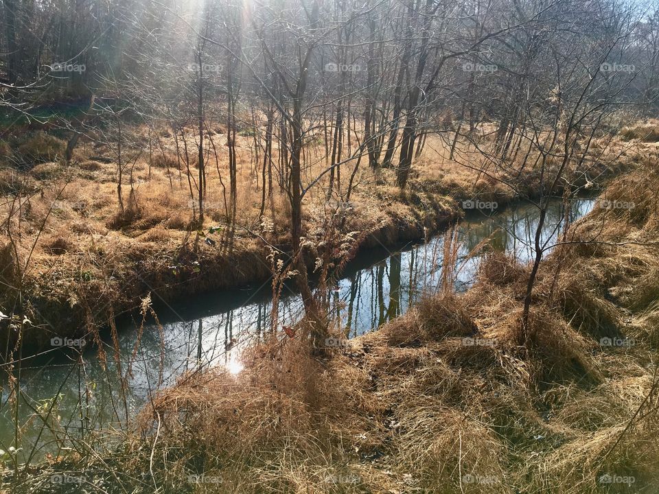 Golden grass split by a quaint little creek