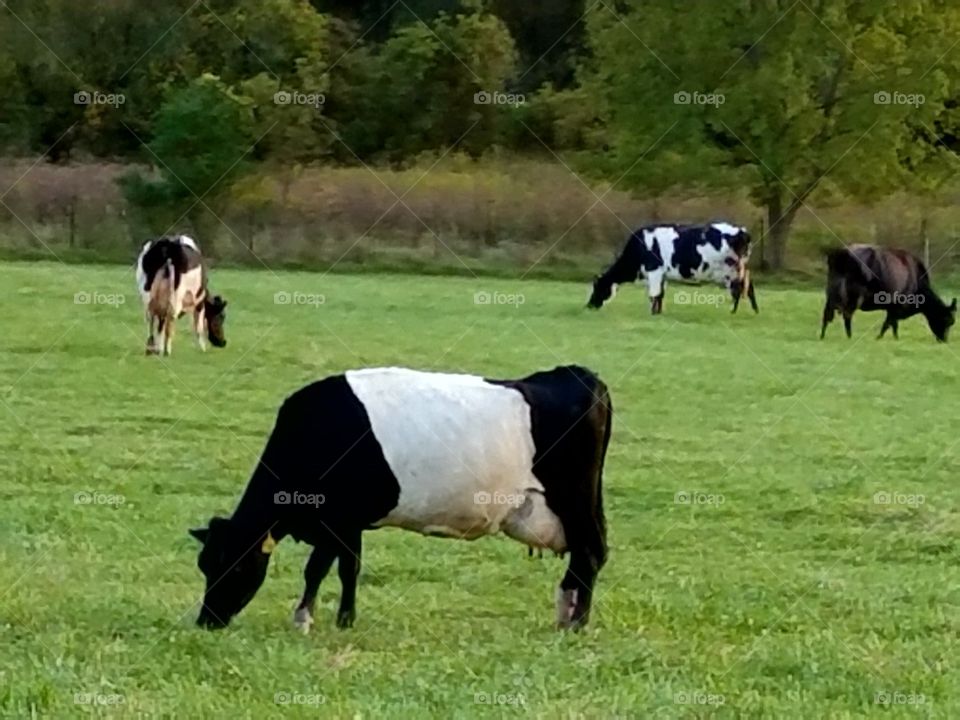 Driving the Back Roads and enjoying everything around us.