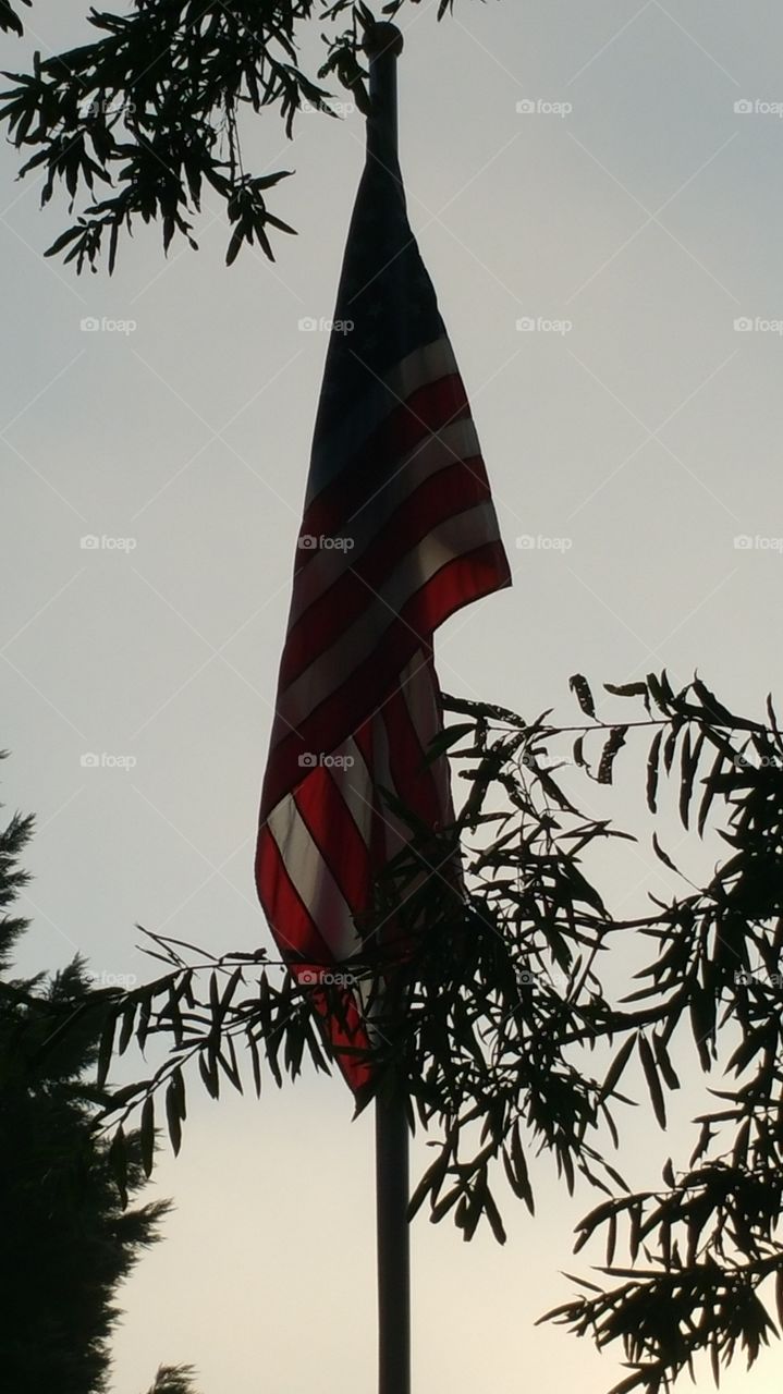 flag in the morning