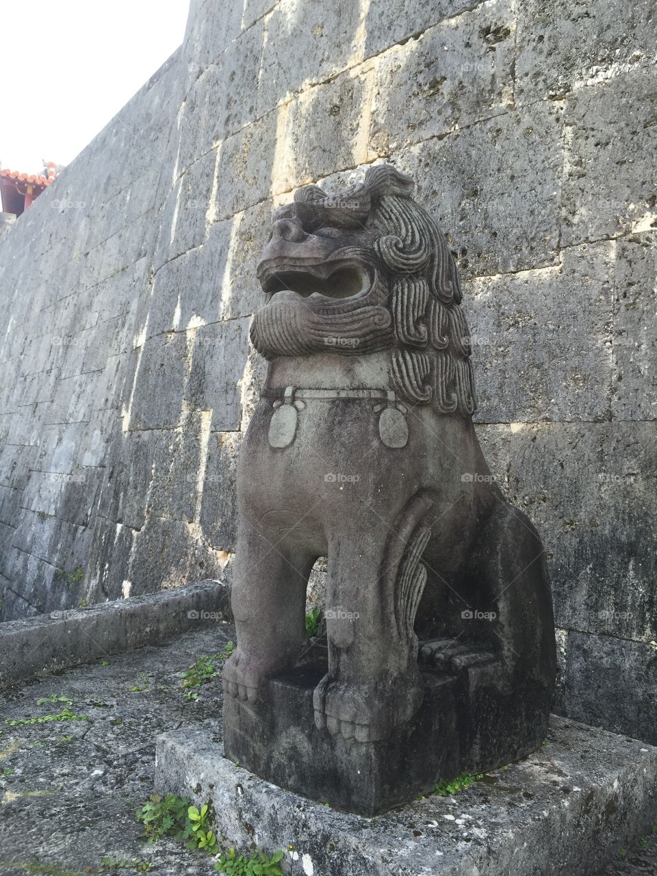 Shisa in Okinawa, Japan. This statue is referred to as a Shisa and protects the people and brings in happiness. 