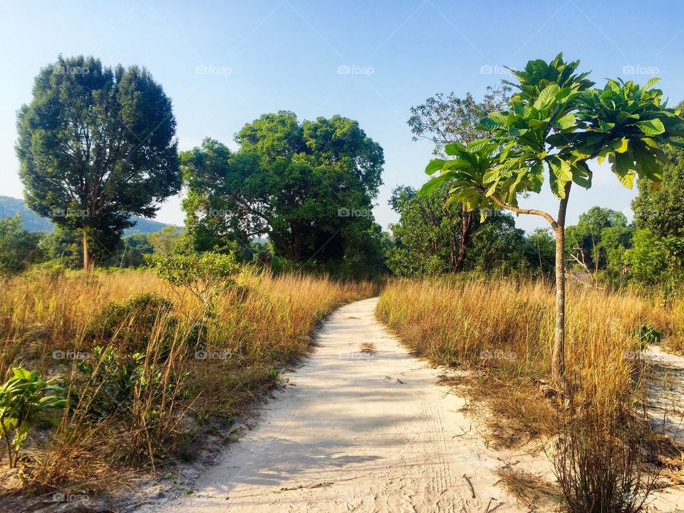 Koh rong samloem