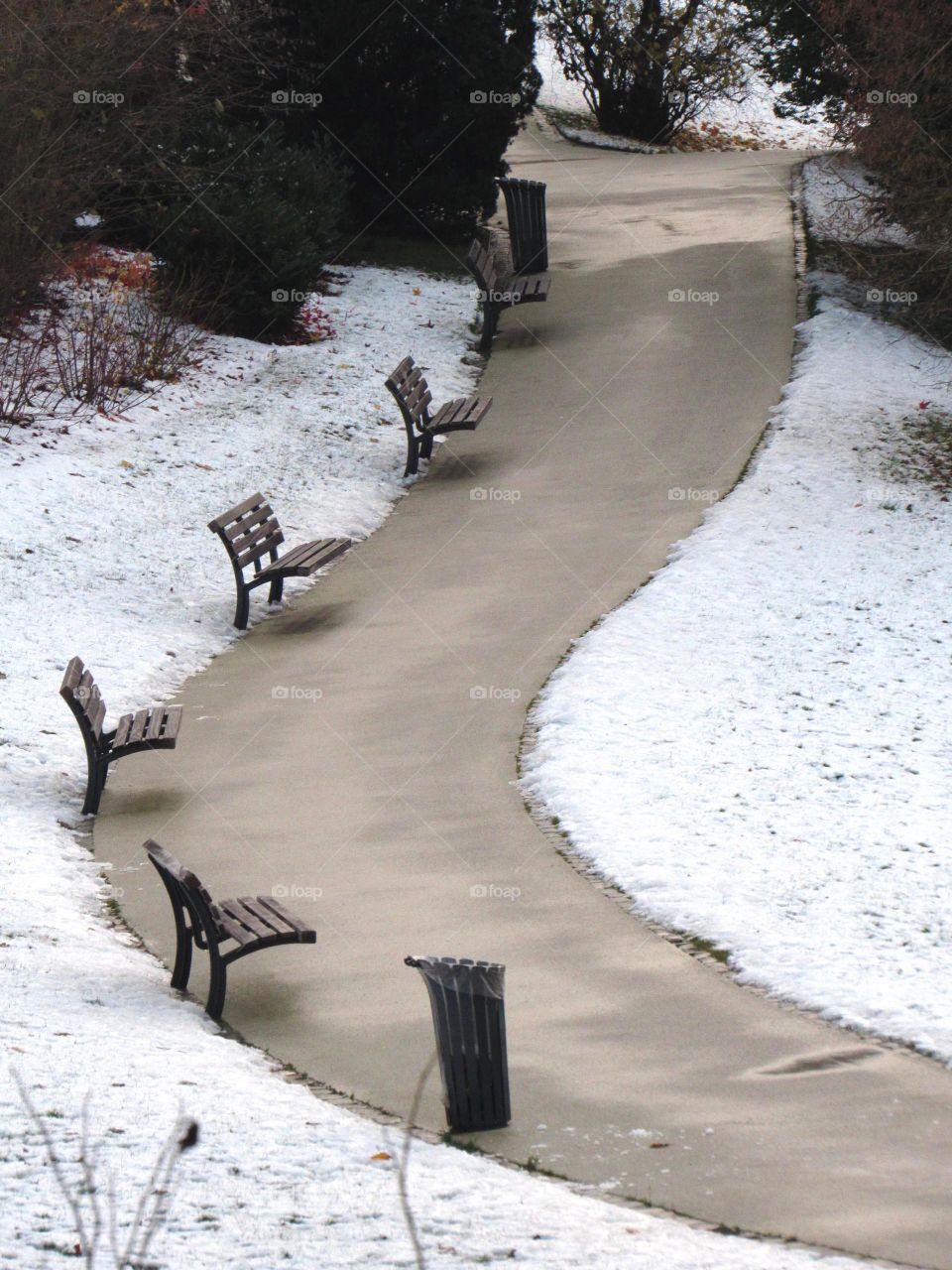 Snow in the park