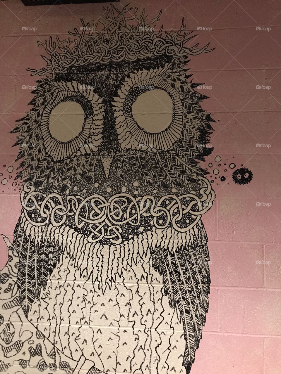 Whimsical owl mural on cinderblocks with pink background 