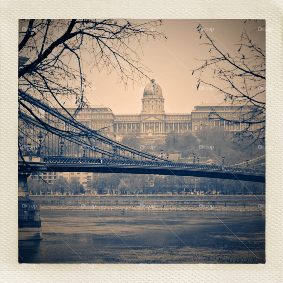 budapest chain bridge buda castle széchenyi lánchíd by ibphotography