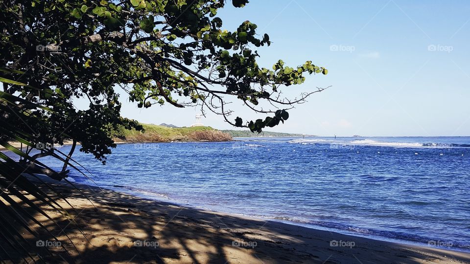A beatiful shot of the Dominican Beach