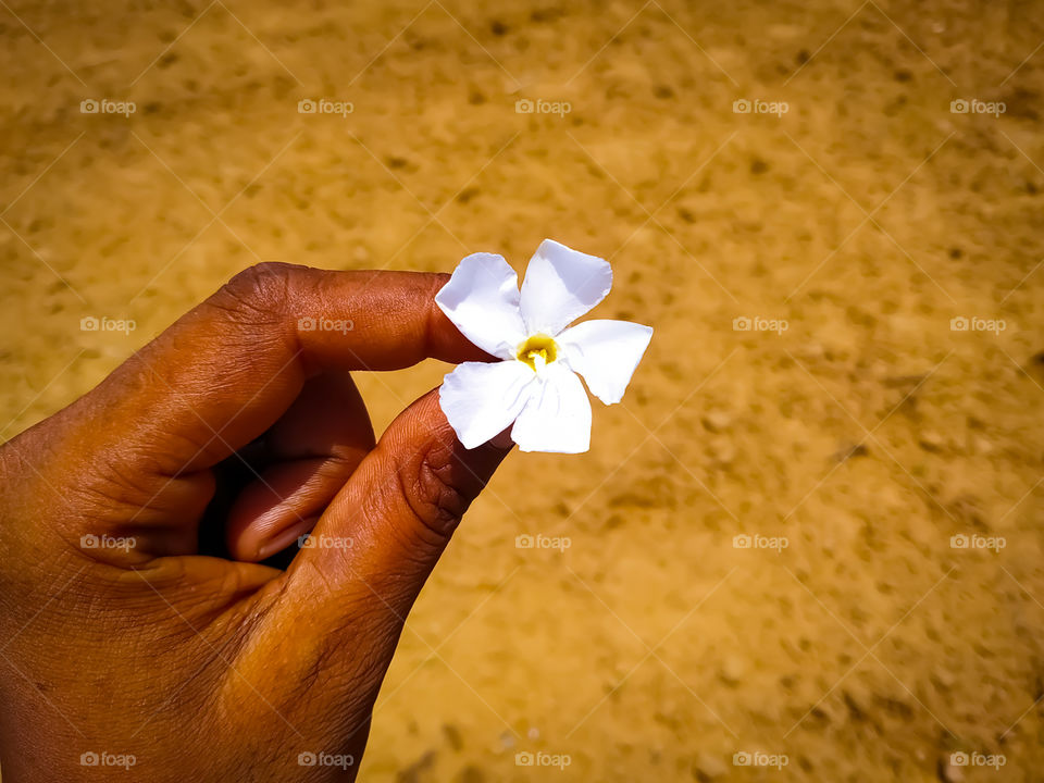 A boy with white flowers on a gray background
