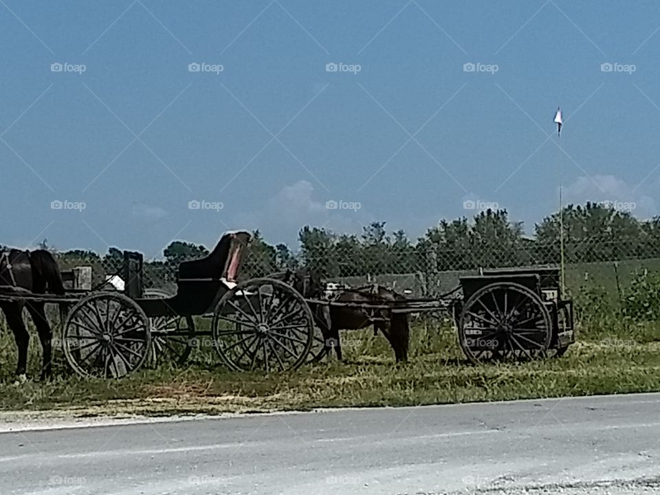 big horse and buggy, little horse and buggy