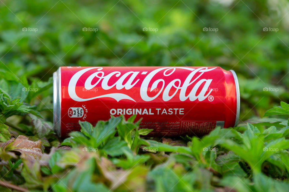 Coca cola can outdoor in the green grass background