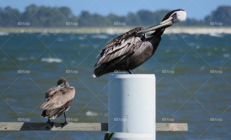 What are you looking at?