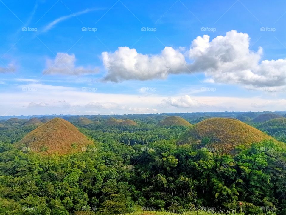 The famous Chocolate Hills