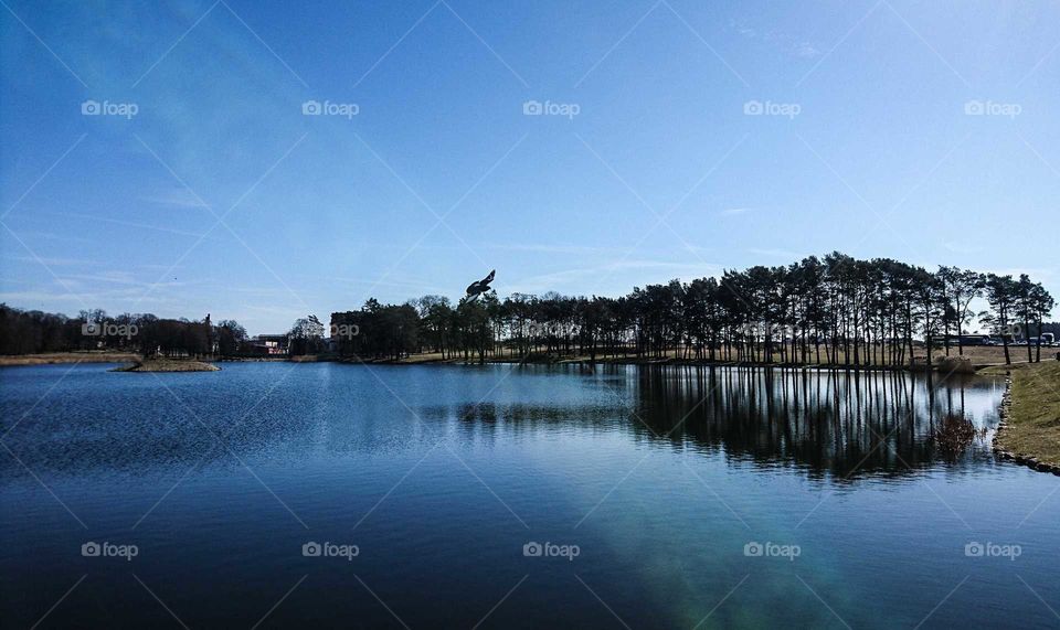 Lake reflections