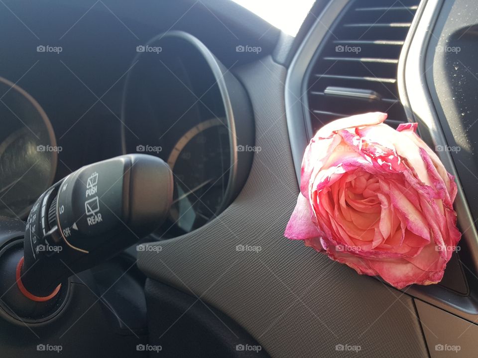 Rose Air freshener in car
