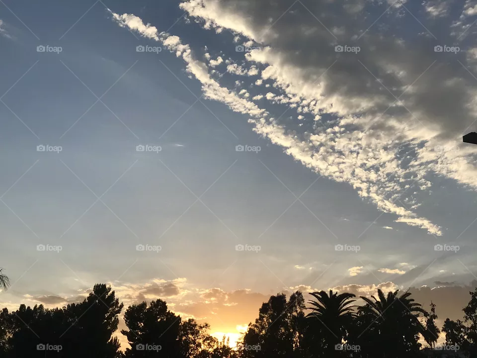 Sunrise 