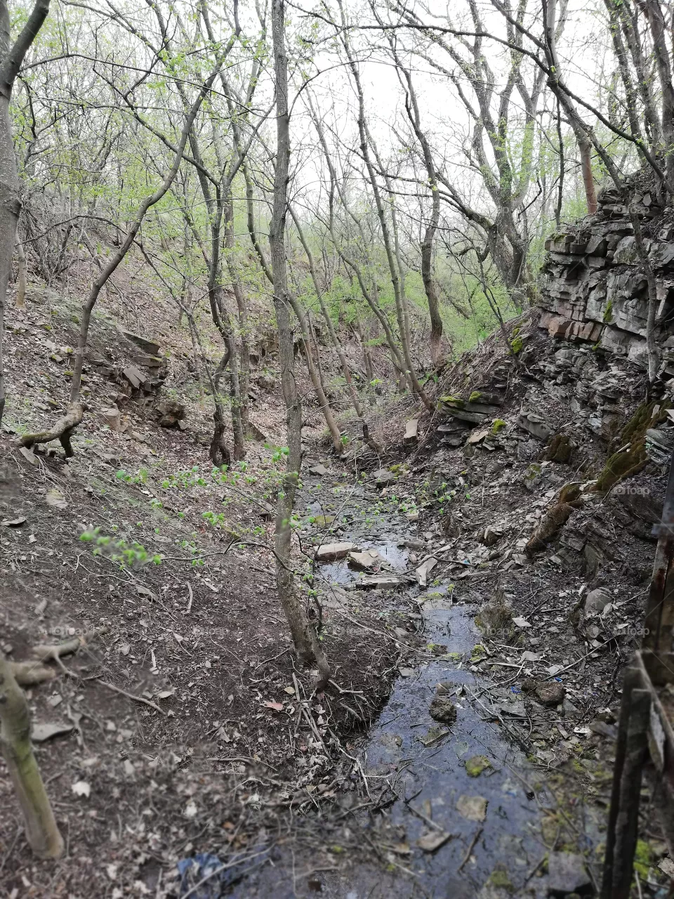 Nature