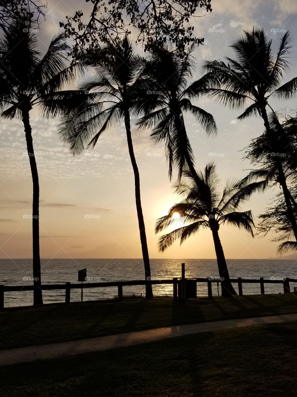 Sunset palms at Kam III beach park on Maui